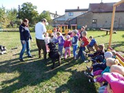 Sorbon - pes fotbalista